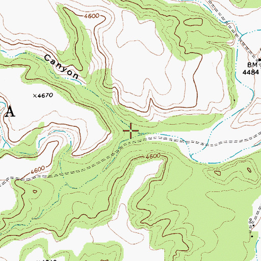 Topographic Map of Spring Canyon, NM