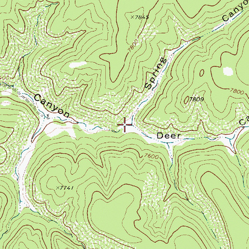 Topographic Map of Spring Canyon, NM