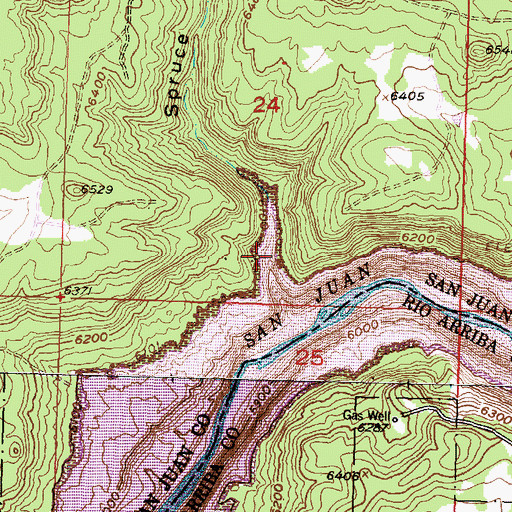 Topographic Map of Spruce Canyon, NM