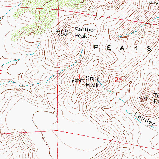 Topographic Map of Spur Peak, NM