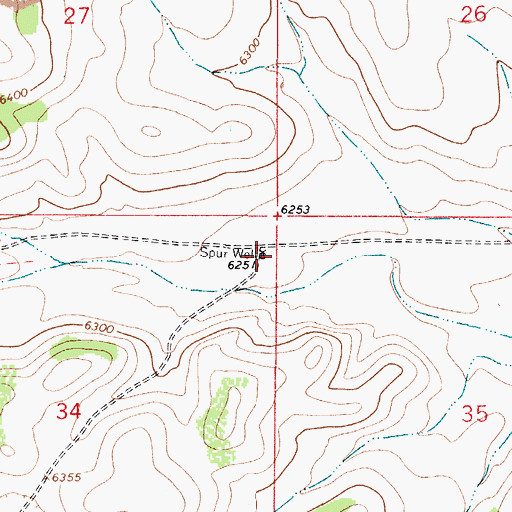 Topographic Map of Spur Well, NM