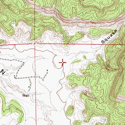 Topographic Map of Squash Canyon, NM