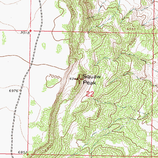 Topographic Map of Squaw Peak, NM