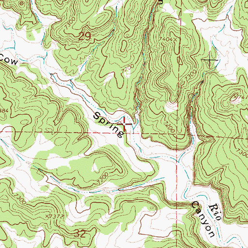 Topographic Map of Squirrel Canyon, NM