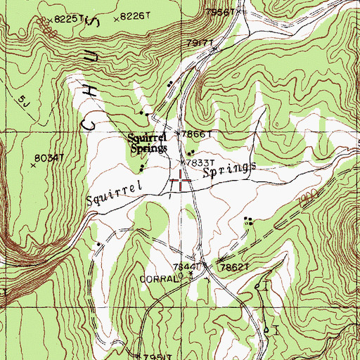 Topographic Map of Squirrel Springs, NM