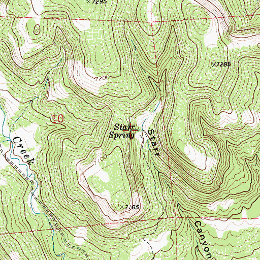 Topographic Map of Starr Spring, NM
