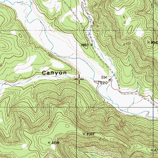 Topographic Map of Stinking Canyon, NM