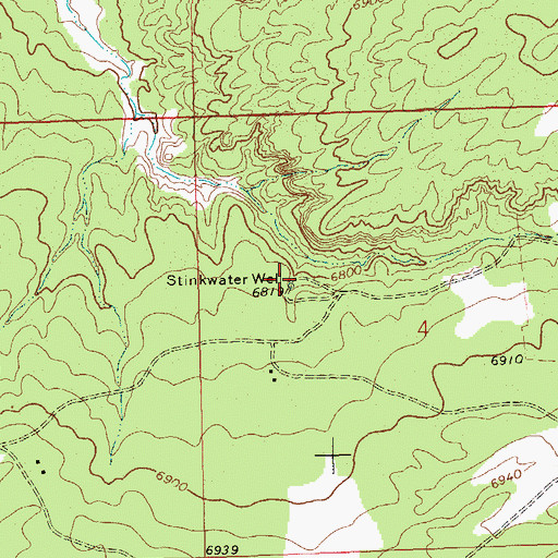 Topographic Map of Stinkwater Well, NM