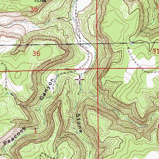 Topographic Map of Stone Canyon, NM