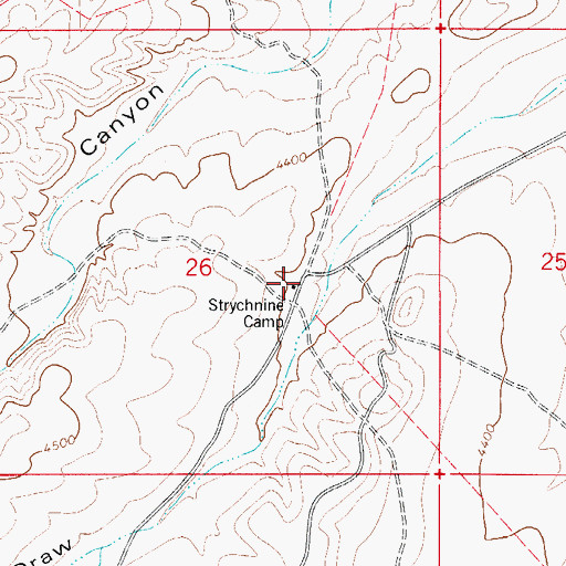 Topographic Map of Strychnine Camp, NM