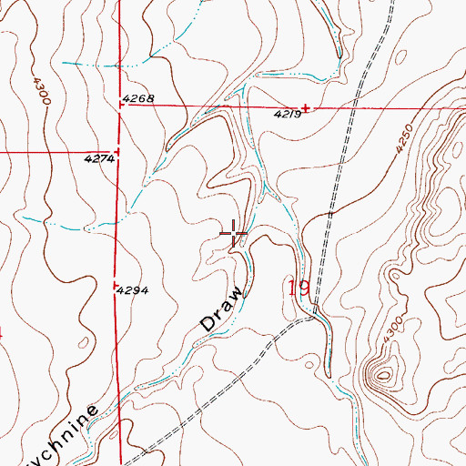 Topographic Map of Strychnine Draw, NM