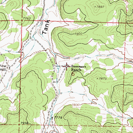 Topographic Map of Summers Ranch, NM