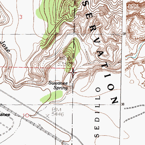 Topographic Map of Suwanee Spring, NM
