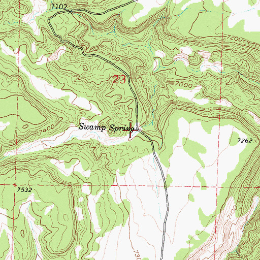 Topographic Map of Swamp Spring, NM