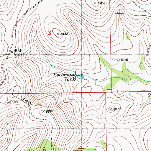 Topographic Map of Sycamore Tank, NM