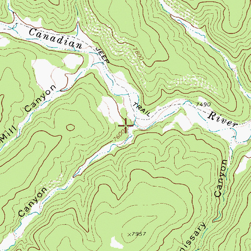 Topographic Map of T B L Canyon, NM