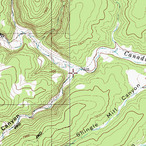 Topographic Map of TX Canyon, NM