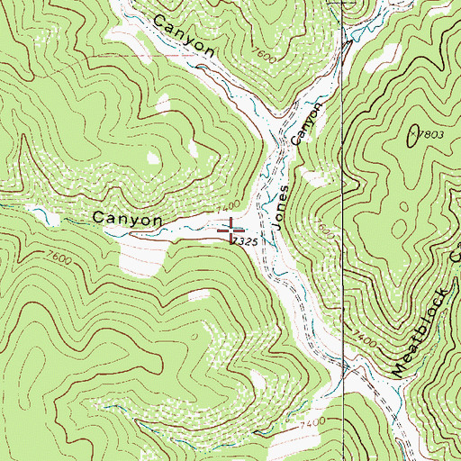 Topographic Map of Taber Morey Canyon, NM