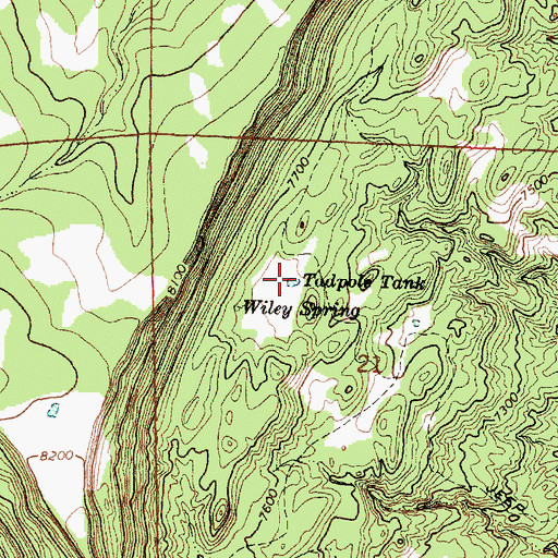 Topographic Map of Tadpole Tank, NM