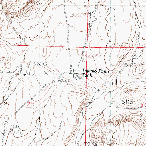 Topographic Map of Tajanio Pinto Tank, NM