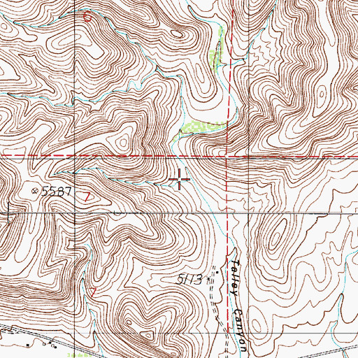 Topographic Map of Talley Canyon, NM
