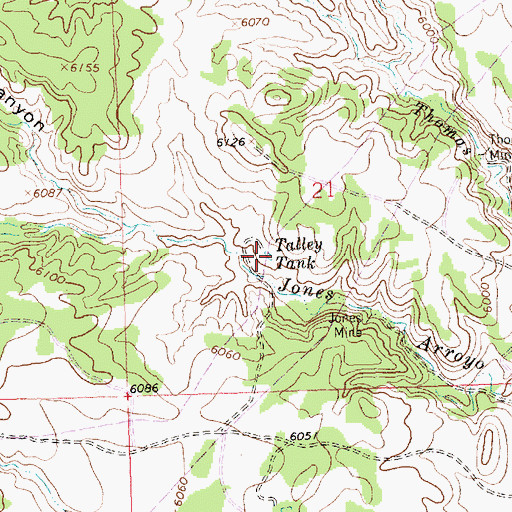 Topographic Map of Talley Tank, NM