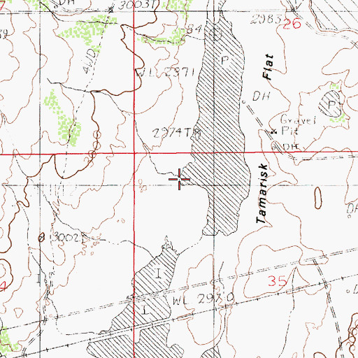 Topographic Map of Tamarisk Flat, NM