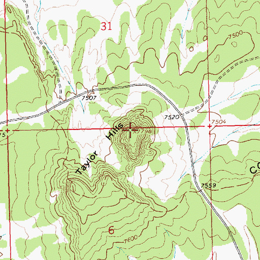 Topographic Map of Taylor Hills, NM