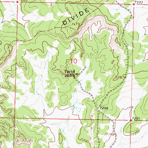 Topographic Map of Taylor Ranch, NM
