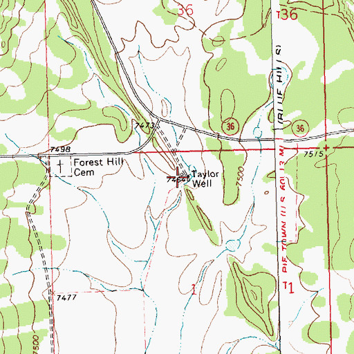 Topographic Map of Taylor Well, NM