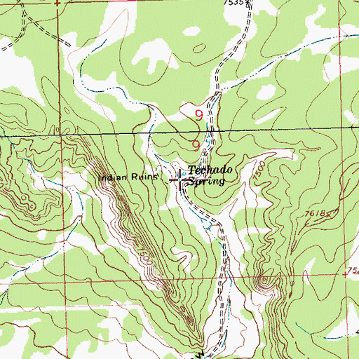 Topographic Map of Techado Spring, NM