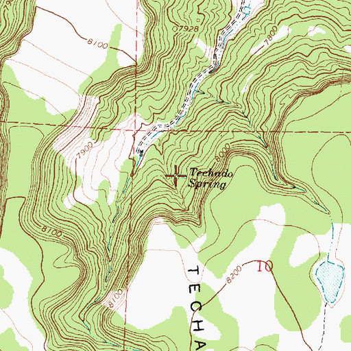 Topographic Map of Techado Spring, NM