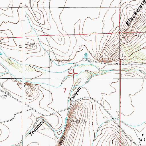 Topographic Map of Tecolote Canyon, NM