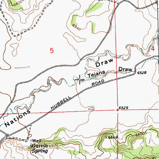 Topographic Map of Tejana Draw, NM