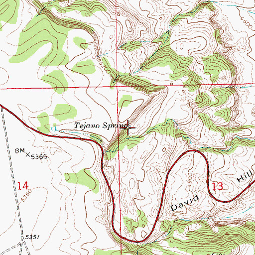 Topographic Map of Tejano Spring, NM
