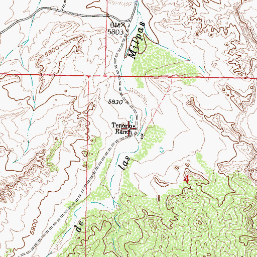 Topographic Map of Tenorio Ranch, NM