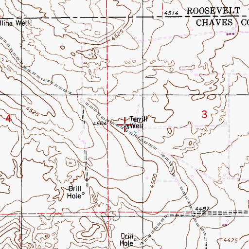 Topographic Map of Terrill Well, NM
