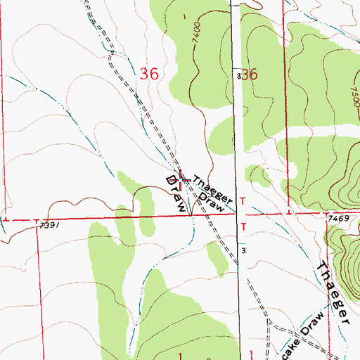 Topographic Map of Thaeger Draw, NM