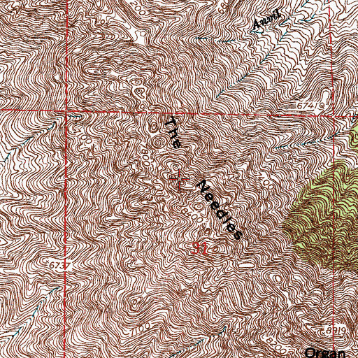 Topographic Map of The Needles, NM