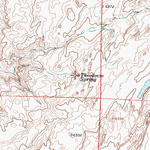 Topographic Map of Theodocio Spring, NM
