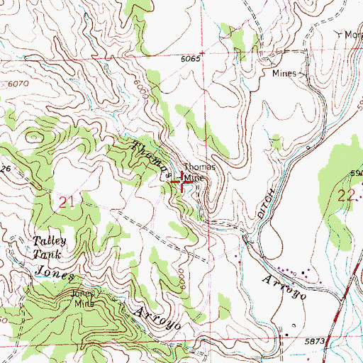 Topographic Map of Thomas Mine, NM