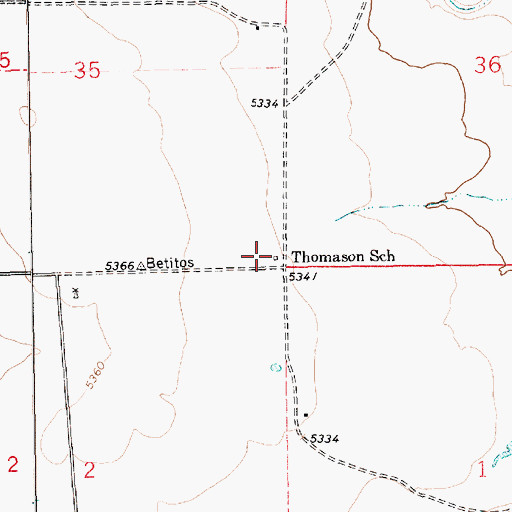 Topographic Map of Thomason School, NM