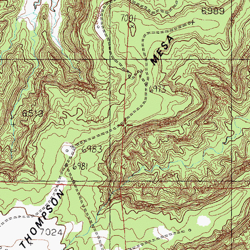 Topographic Map of Thompson Mesa, NM