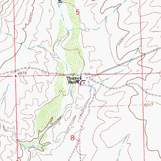 Topographic Map of Thorne Ranch, NM