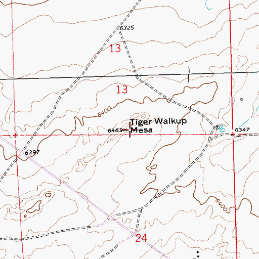 Topographic Map of Tiger Walkup Mesa, NM