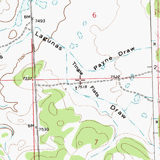 Topographic Map of Tingle Flats, NM