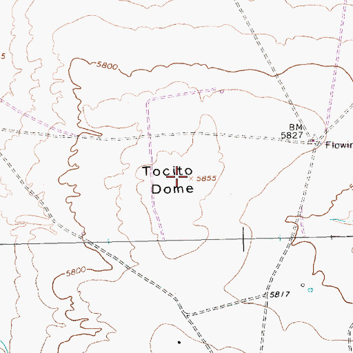 Topographic Map of Tocito Dome, NM