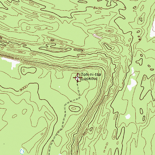 Topographic Map of Toh-Ni-Tsa Lookout, NM