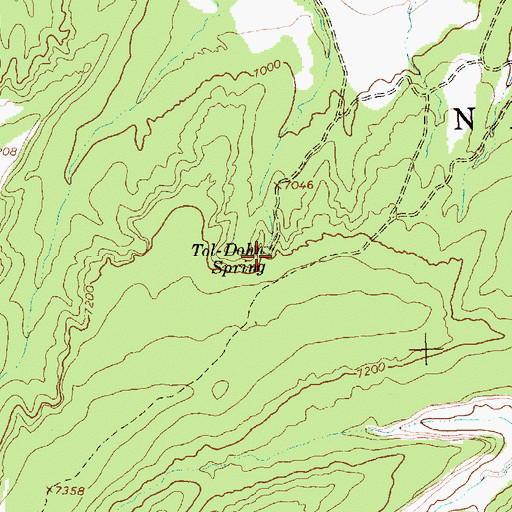Topographic Map of Tol-Dohn Spring, NM