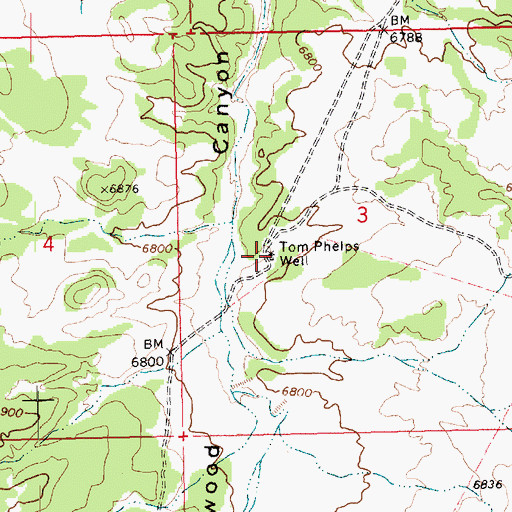 Topographic Map of Tom Phelps Well, NM